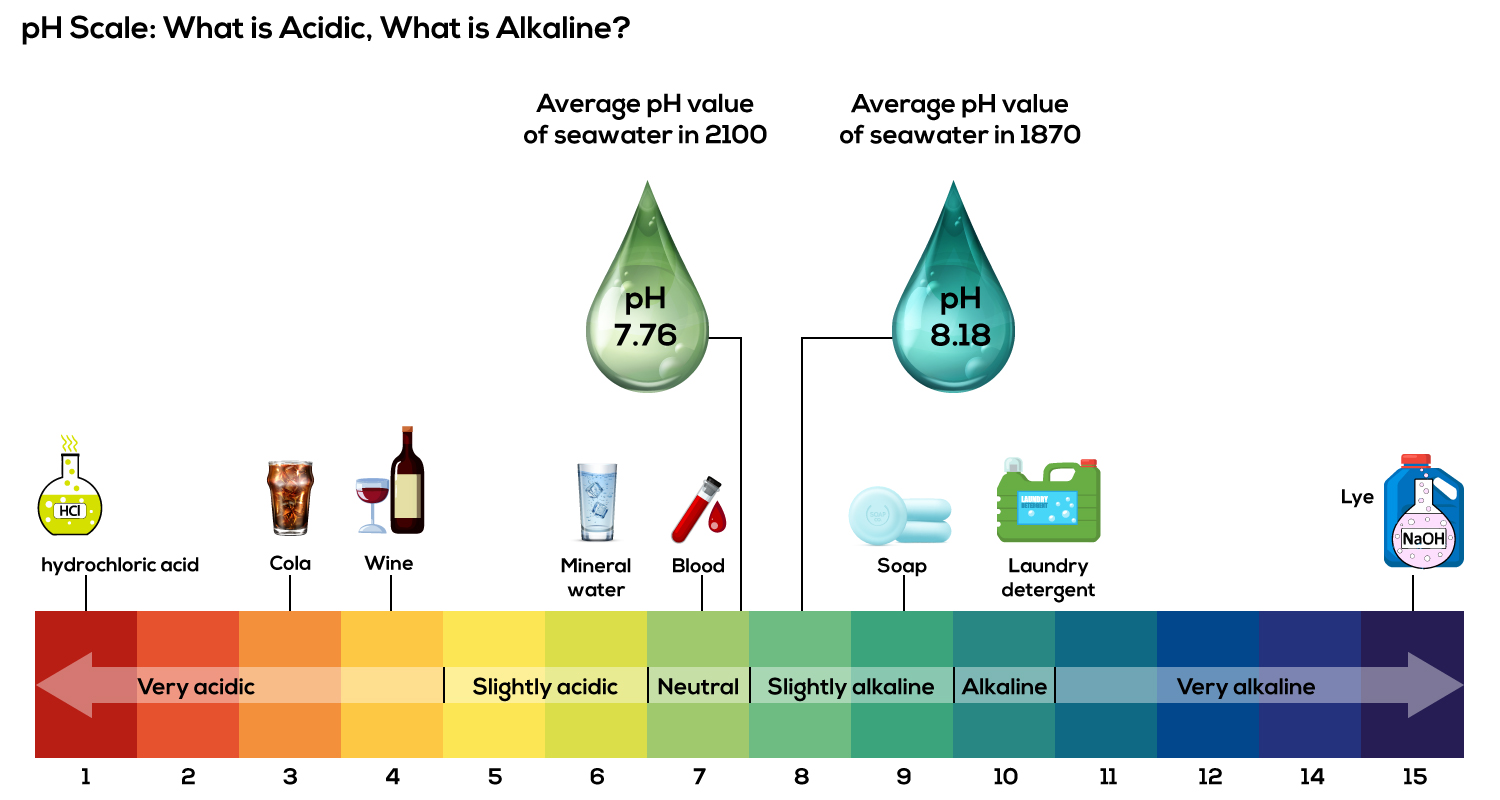 PH Scale